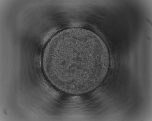 X0000103960059200810101254