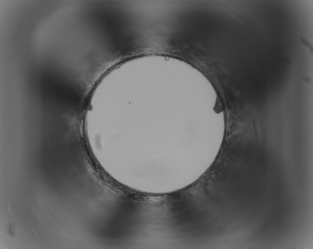 X0000103960060200810101254