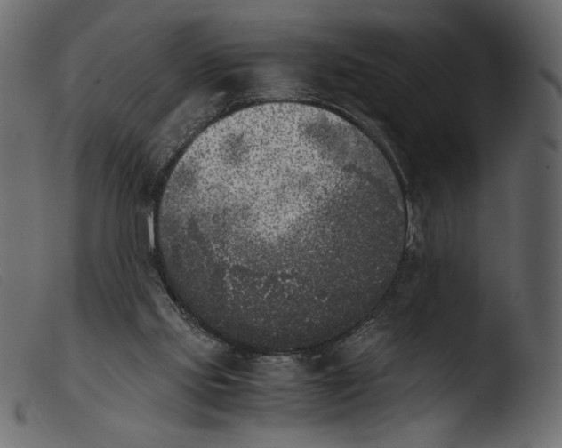 X0000103960061200810101254