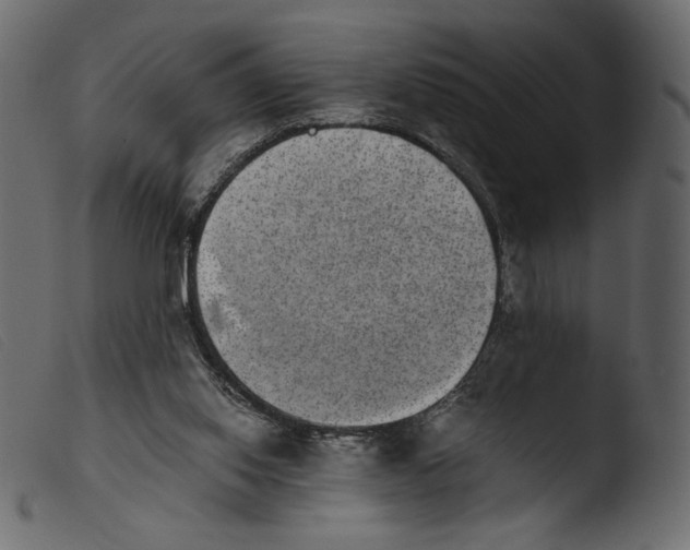 X0000103960062200810101254