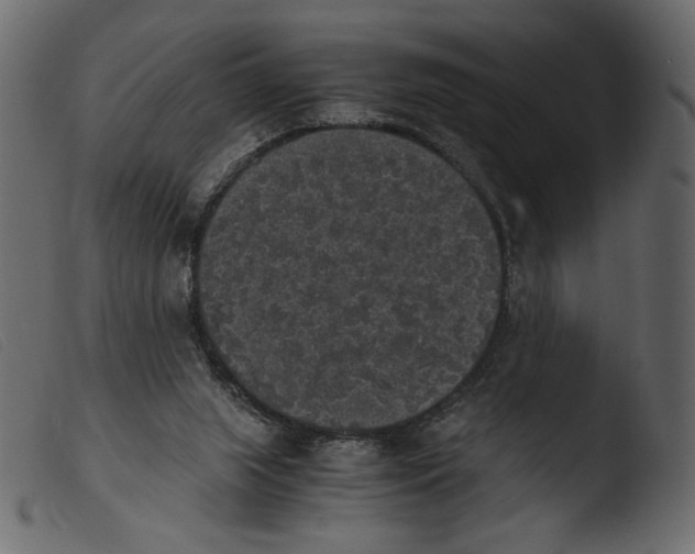 X0000103960063200810101254