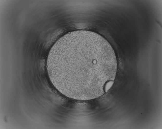 X0000103960066200810101254