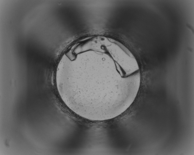 X0000103960068200810101254