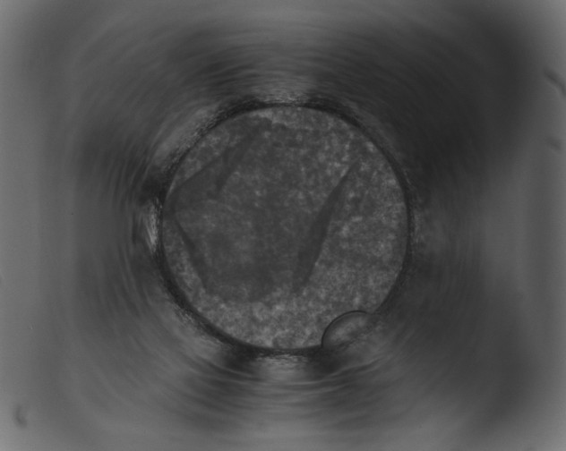 X0000103960069200810101254