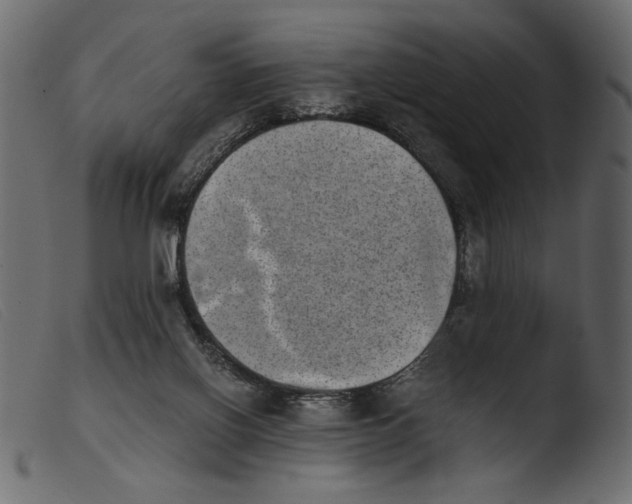 X0000103960070200810101254