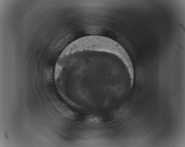 X0000103960073200810101254