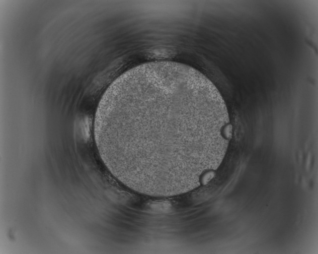 X0000103960075200810101254