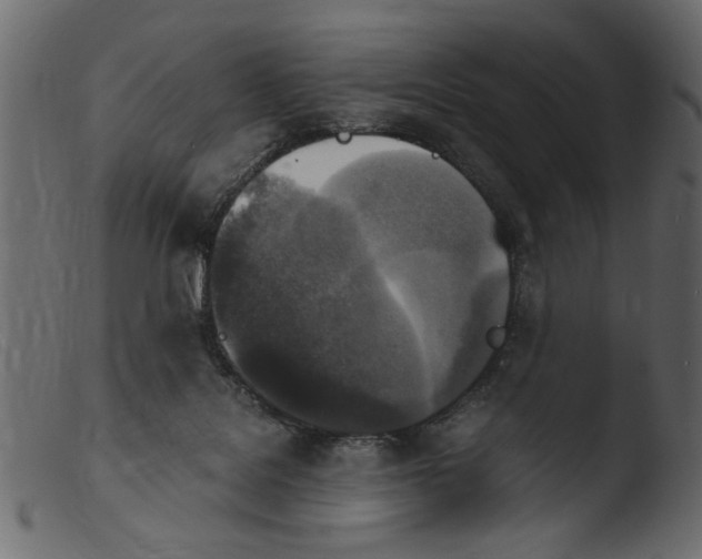 X0000103960076200810101254