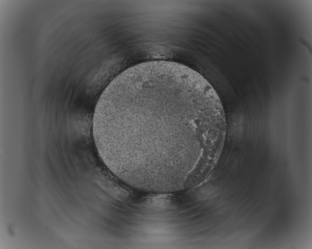 X0000103960078200810101254