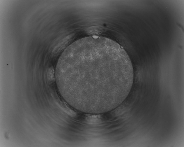 X0000103960081200810101254