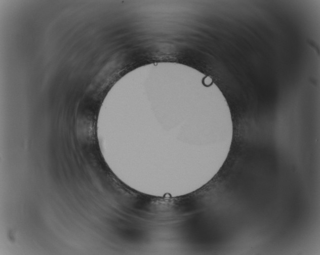 X0000103960084200810101254