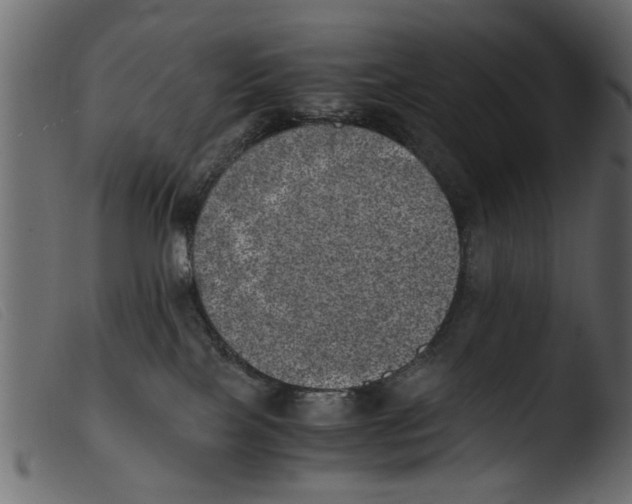 X0000103960089200810101254