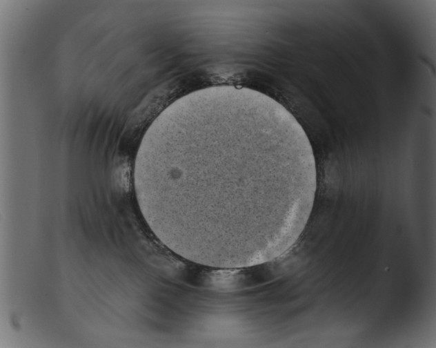 X0000103960090200810101254