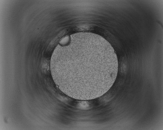 X0000103960091200810101254