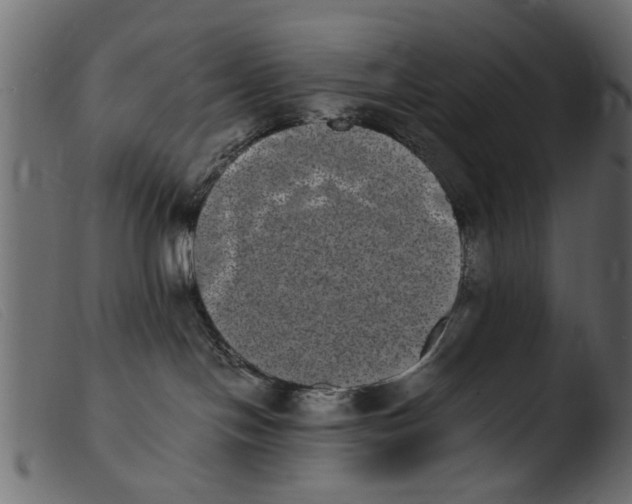 X0000103960094200810101254