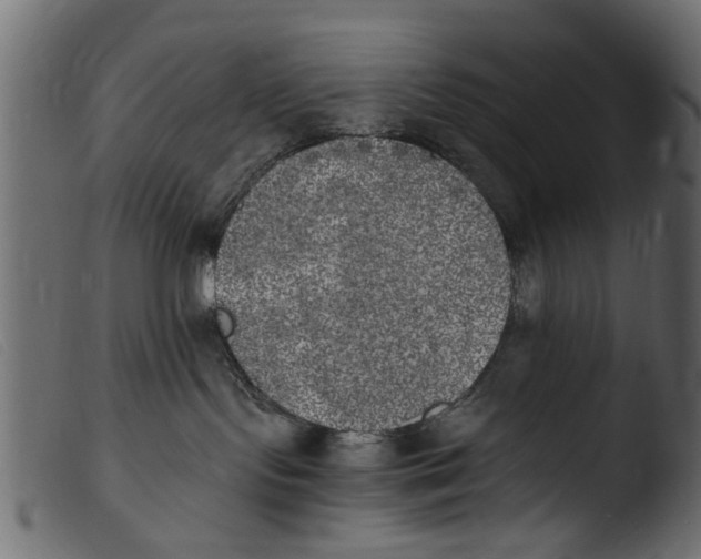 X0000103960095200810101254