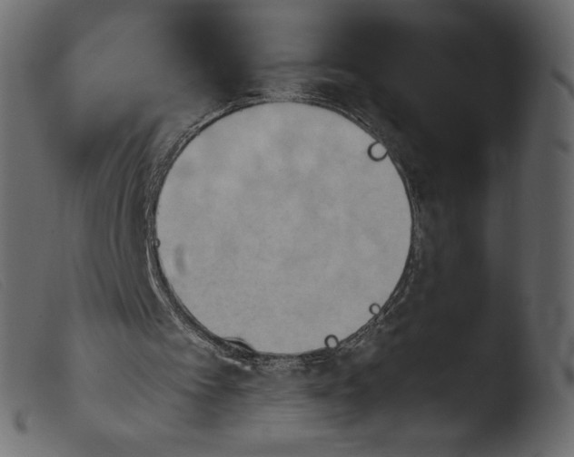 X0000103960097200810101254