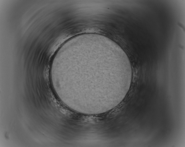 X0000103960098200810101254