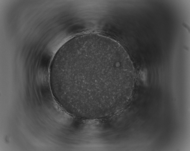 X0000103960100200810101254