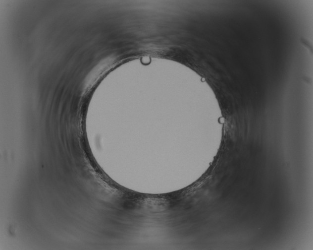 X0000103960101200810101253