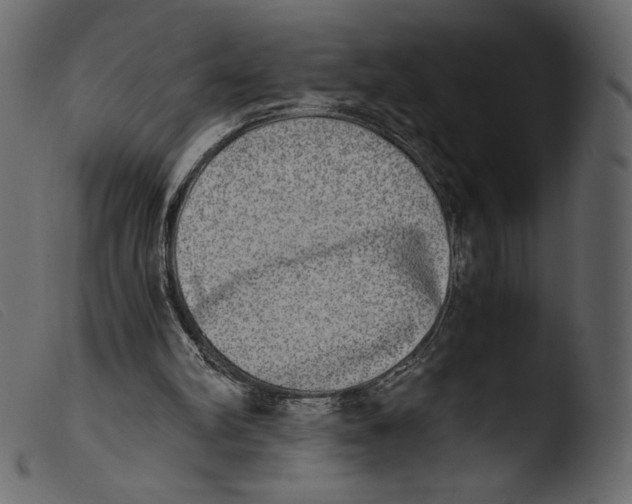 X0000103960102200810101253