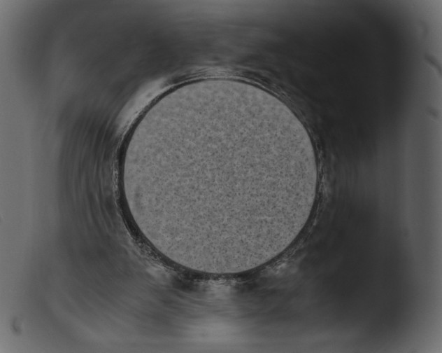 X0000103960103200810101253