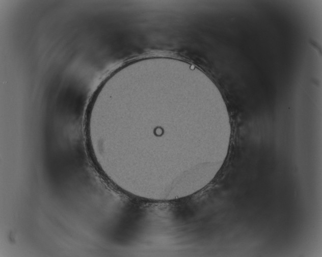 X0000103960104200810101253