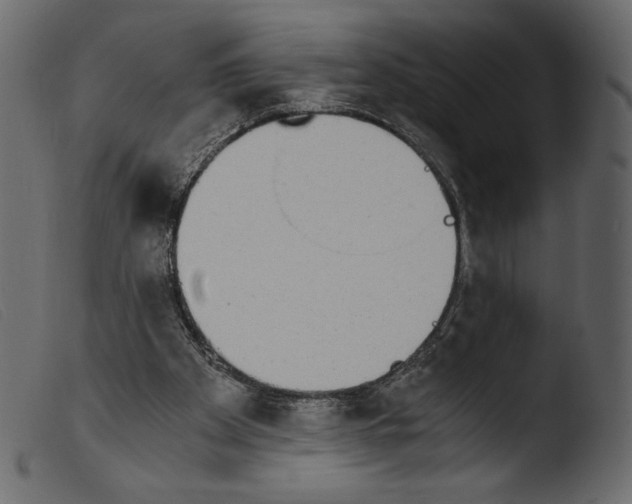 X0000103960105200810101253