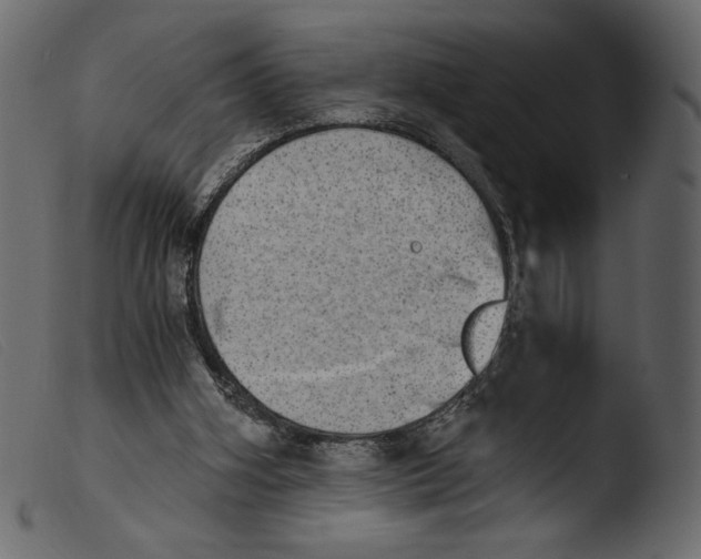 X0000103960106200810101253