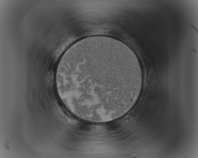 X0000103960107200810101253