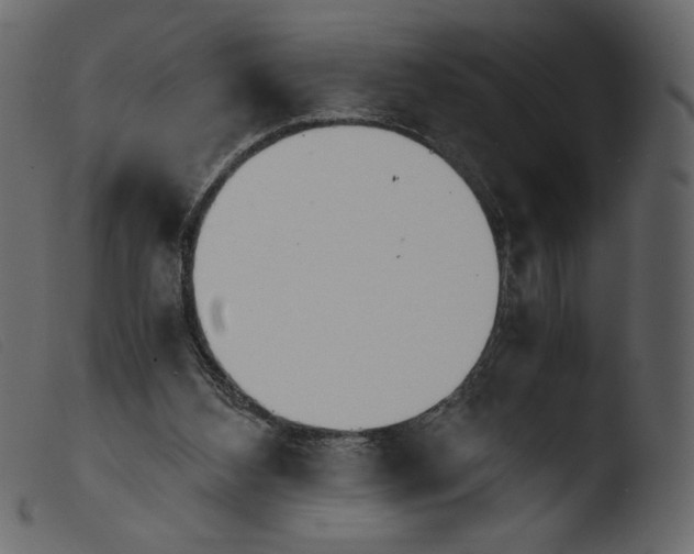 X0000103960108200810101253