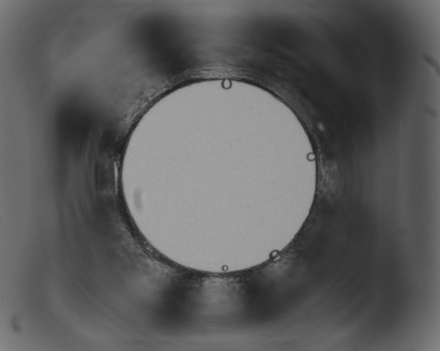 X0000103960109200810101253