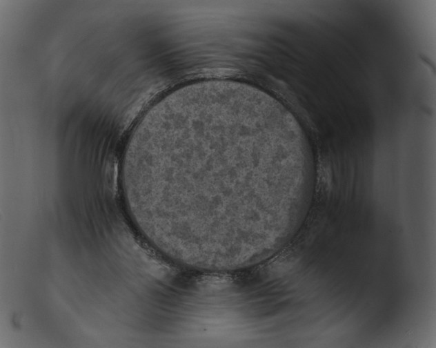 X0000103960110200810101253