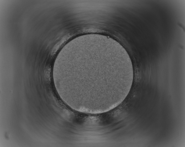 X0000103960111200810101253