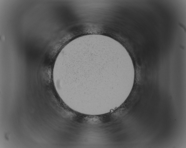 X0000103960113200810101253