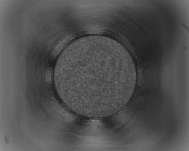 X0000103960114200810101253