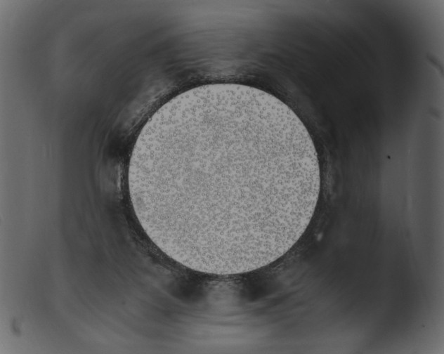 X0000103960115200810101253