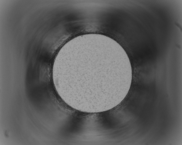 X0000103960116200810101253