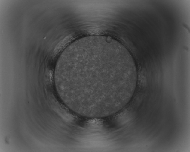 X0000103960117200810101253