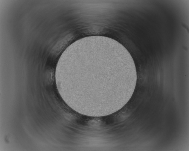 X0000103960119200810101253