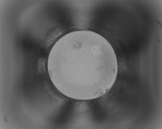 X0000103960120200810101253