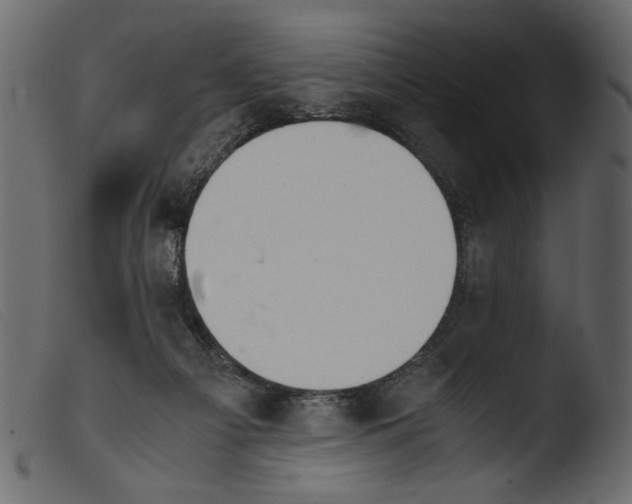 X0000103960121200810101253