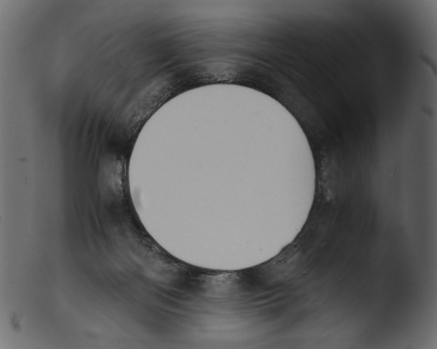 X0000103960122200810101253