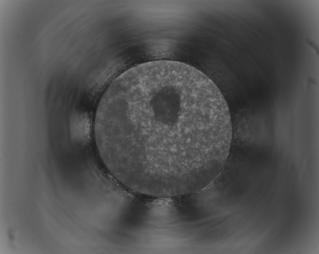 X0000103960124200810101253