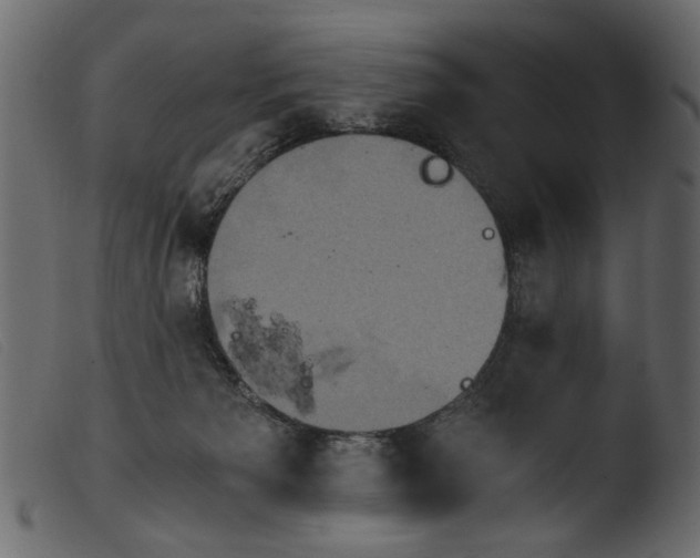 X0000103960125200810101253