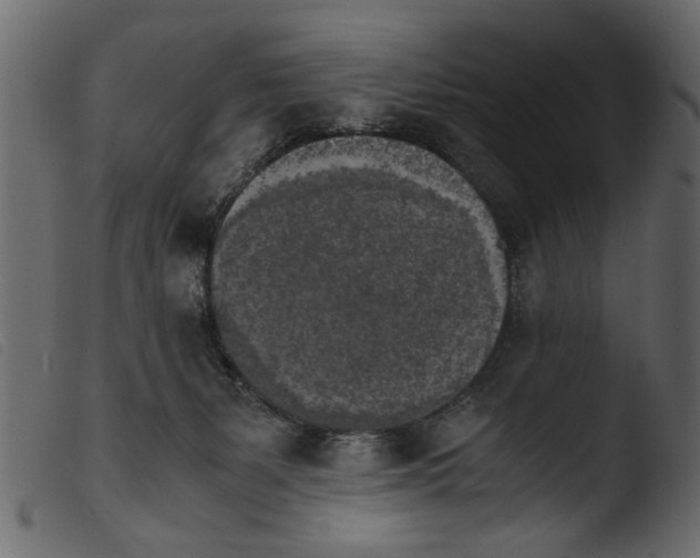 X0000103960127200810101253