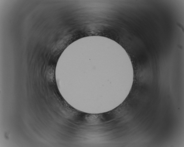 X0000103960129200810101253