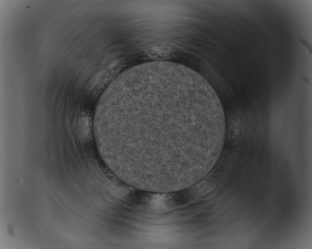 X0000103960130200810101253