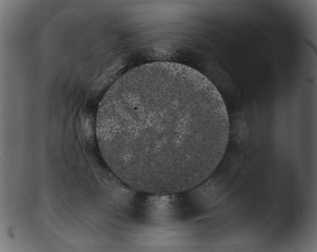 X0000103960131200810101253