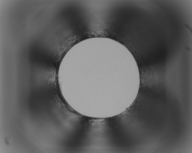 X0000103960132200810101253